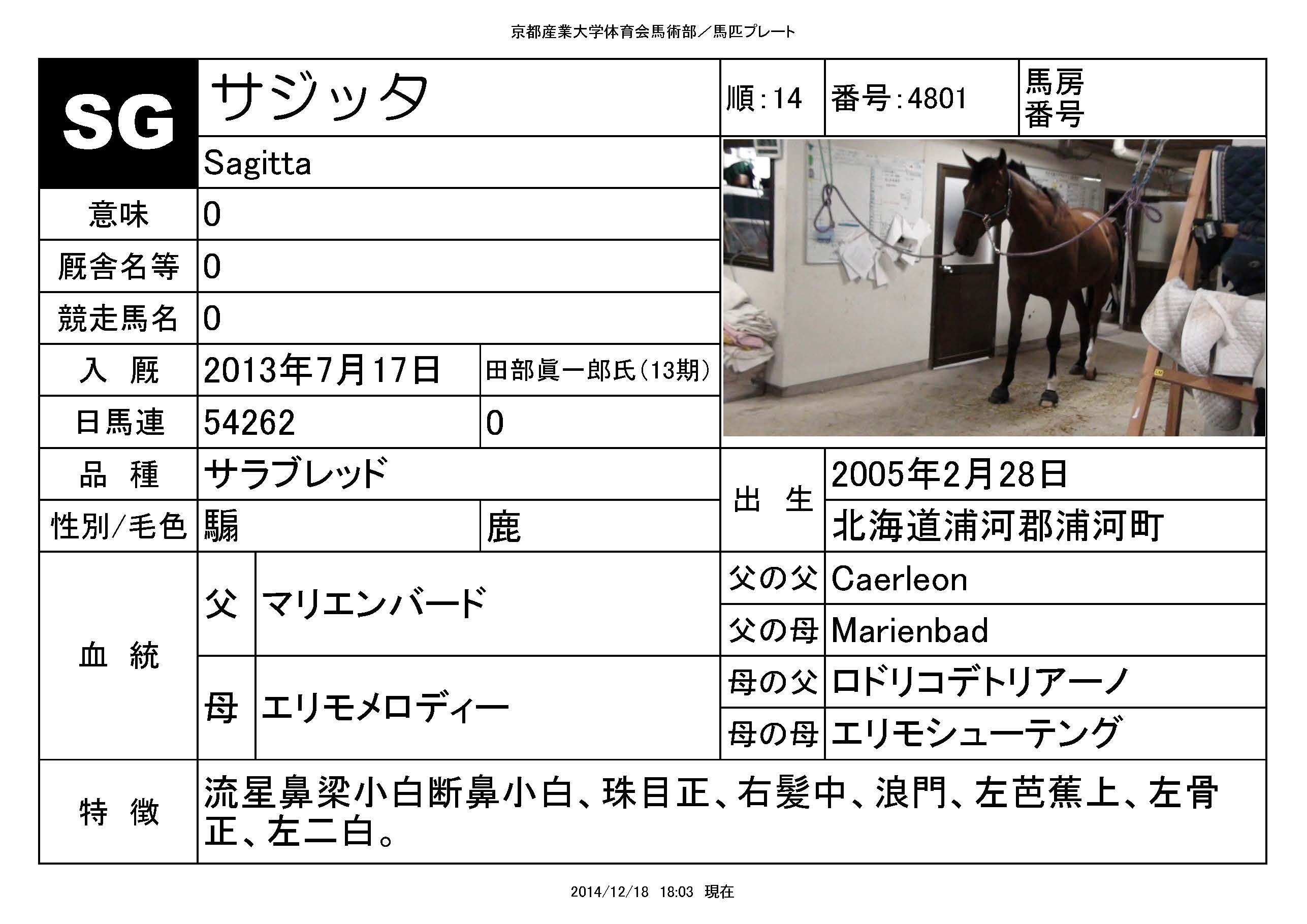 サジッタ 馬匹紹介 京都産業大学馬術部