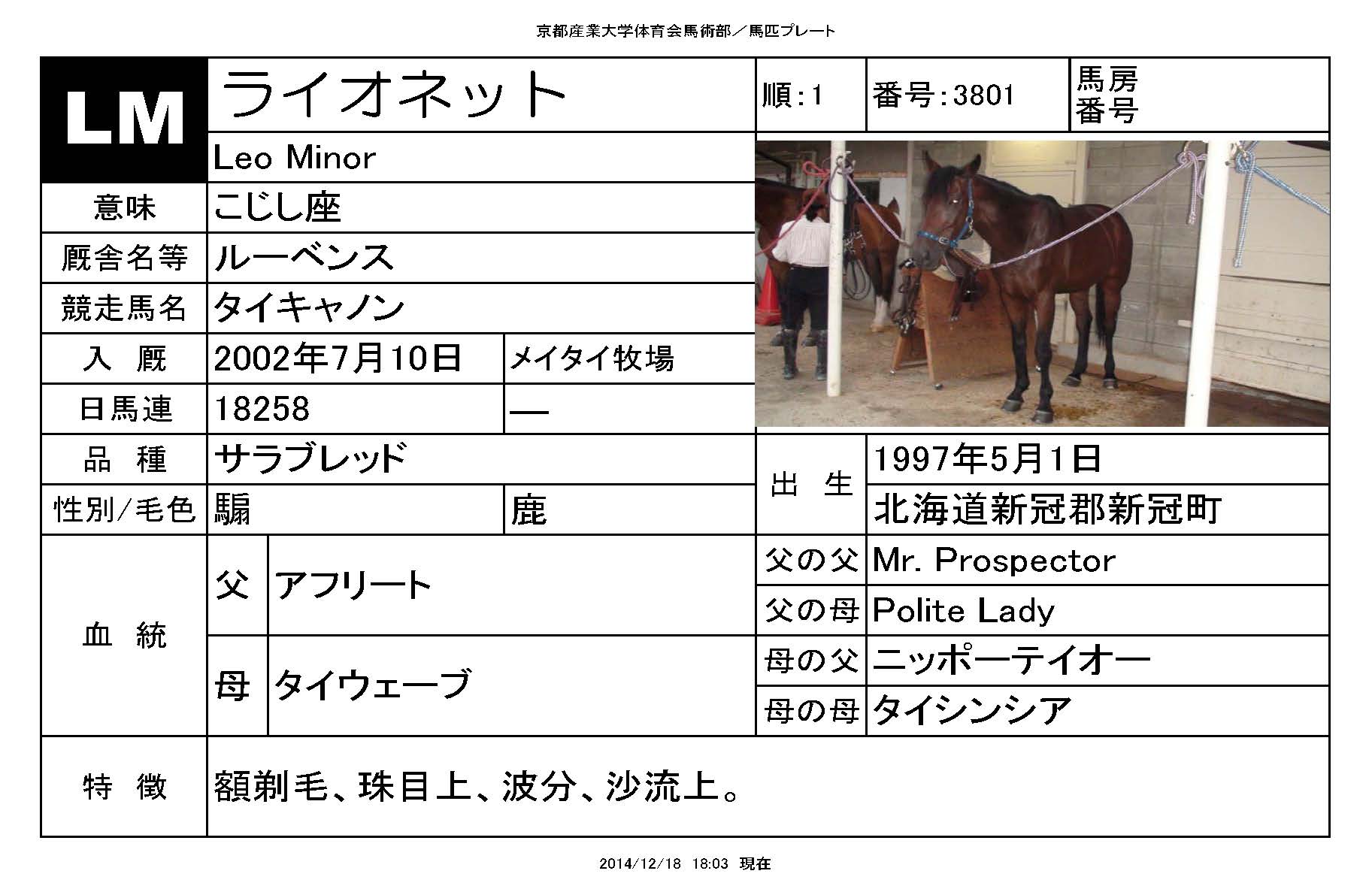 ライオネット 馬匹紹介 京都産業大学馬術部